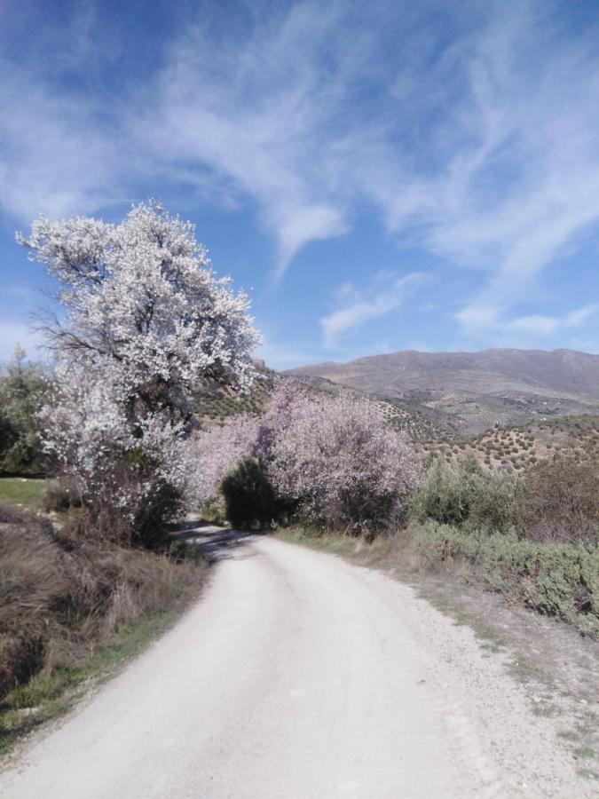 El Convento Vivienda Rural Jaen Andalucia Espana Villa Carchelejo ภายนอก รูปภาพ